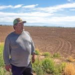 Tino Mendez of Mendez Brothers farm stops for a portrait by one of his unplanted fields in Emblem Tuesday, July 7. Of 3,000 acres, the Mendezes did not plant 580 acres this season due to low water expectancy. Avery Howe