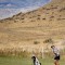 Greybull High School sophomore Tristan Crabtree chips the ball as Heart Mountain looms in the distance while golfing last Thursday afternoon at Olive Glenn Golf Club in Cody. Lisa Kunkel