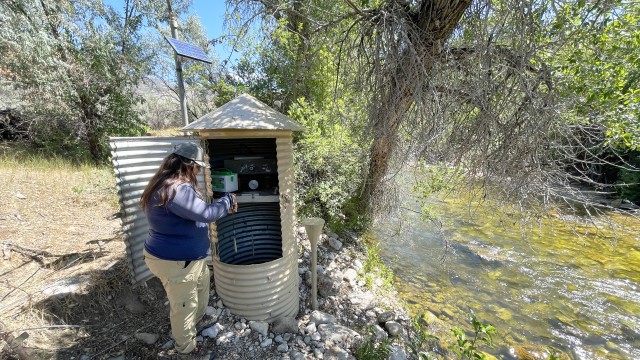 Olivia Griffin, a hydrographer water commissioner with the State Engineer's Office, checks water levels at a Shell Creek stilling well near the mouth of Shell Canyon on Monday morning. “We check water almost every day whether it’s a stilling well, weir, headgate, or a ditch,” she said. Lisa Kunkel