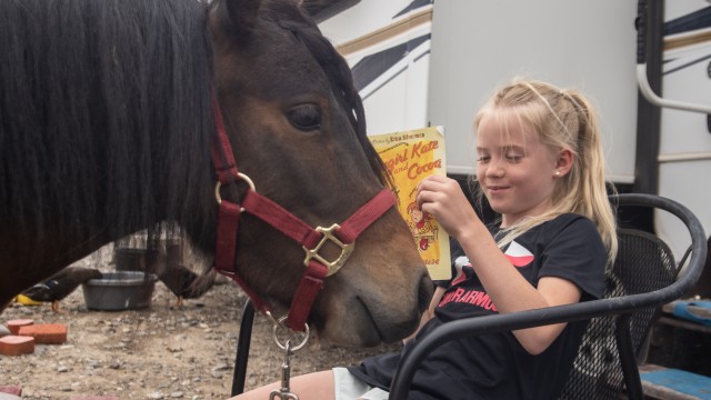Ayven Lindgren, 8, reads to mini horse Willie at True North Trauma Informed Equine Assisted Living on Lane 40 between Basin and Greybull Monday, June 29. Avery Howe